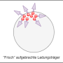 geladenemetallkugel.png